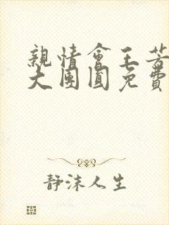 亲情会王芳高敏大团圆免费阅读