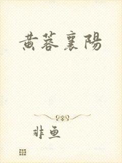 黄蓉襄阳