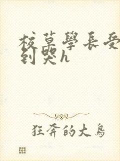 校草学长受被做到哭h