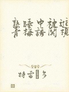 熟睡中被进了H青梅诱哄视频