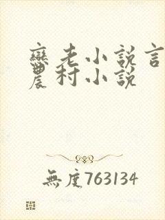 恋老小说言情网农村小说