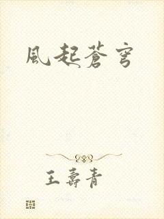 风起苍穹