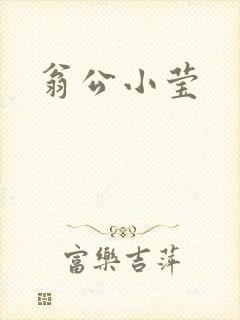 翁公小莹