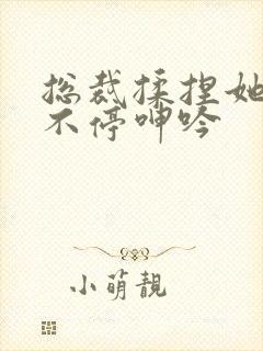 总裁揉捏她两乳不停呻吟