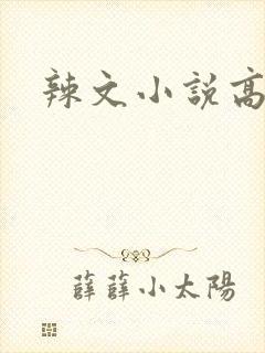 辣文小说高h