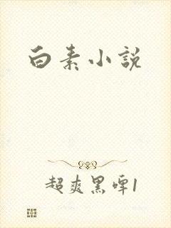 白素小说