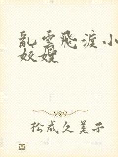 乱云飞渡小说之姣嫂