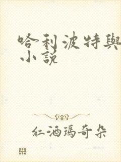 哈利波特与密室小说