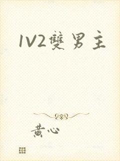 1V2双男主