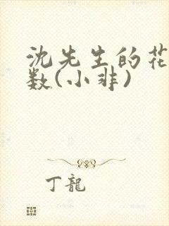 沈先生的花式调数(小非)