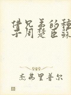 借兄弟的种生孩子周楚臣苏糖