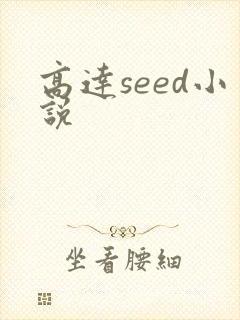 高达seed小说