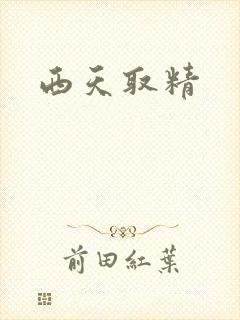 西天取精