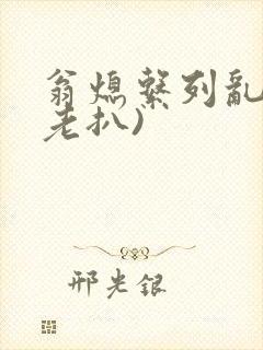 翁熄系列乱 (老扒)