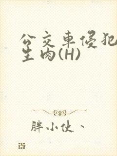 公交车侵犯小男生肉(H)