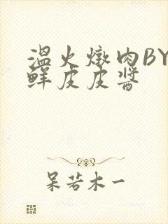 温火炖肉BY海鲜皮皮酱