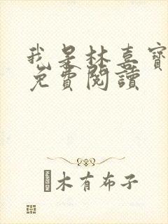 我是林喜宝小说免费阅读