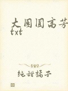 大团圆高芳小说txt
