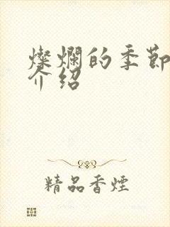 灿烂的季节剧情介绍