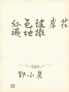 红色彼岸花花瓣遍地撒