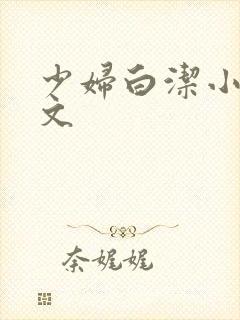 少妇白洁小说全文