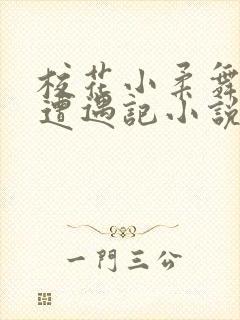 校花小柔舞蹈室遭遇记小说