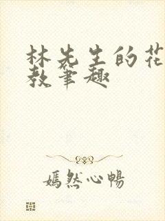 林先生的花式管教笔趣