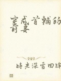 穿成首辅的炮灰前妻