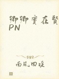 卿卿实在贤良NPN