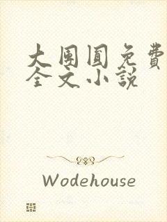 大团圆免费阅读全文小说