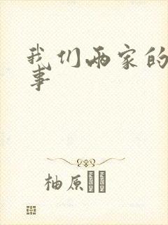 我们两家的荒唐事