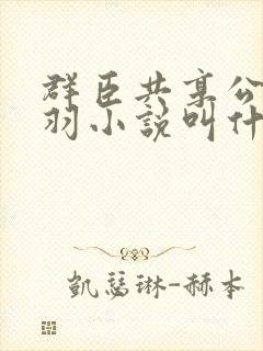 群臣共享公主银羽小说叫什么