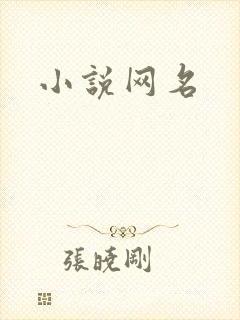 小说网名