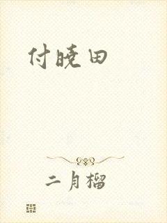 付晓田