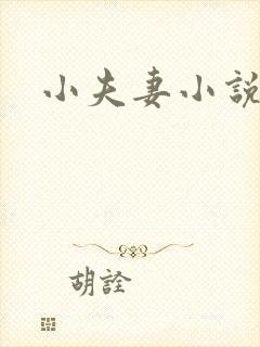 小夫妻小说