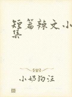 短篇辣文小说合集