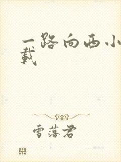 一路向西小说下载