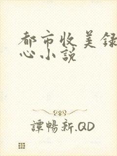 都市收美录宁素心小说