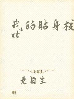 我的贴身校花txt