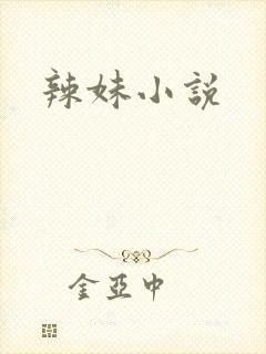 辣妹小说