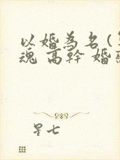 以婚为名 (军魂 高干 婚恋)