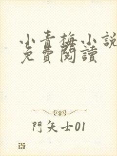 小青梅小说全文免费阅读