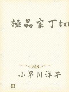 极品家丁txt