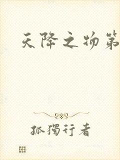 天降之物第一季