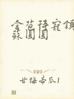 含苞待宠镇国公苏圆圆