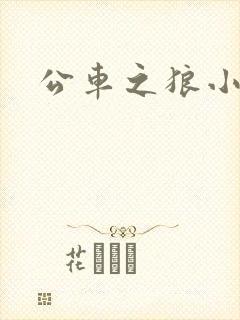 公车之狼小说