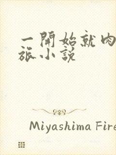 一开始就肉的军旅小说