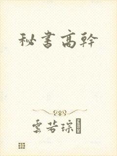 秘书高干
