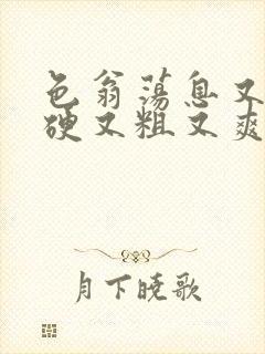 色翁荡息又大又硬又粗又爽电影