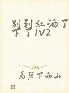 别到红酒了装不下了1V2